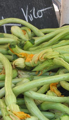 Mediterranean squash in a French market