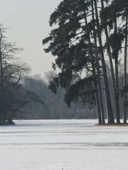 Frozen lake - Bois de Boulogne