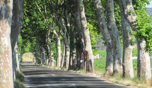 A quiet minor road in France