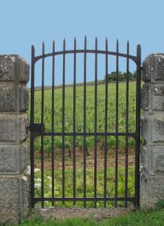 Burgundy village and vineyard