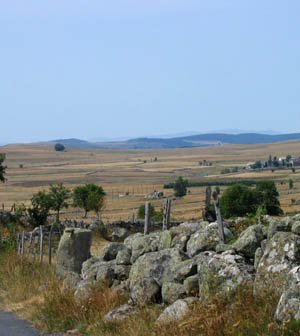 Aubrac