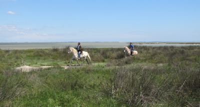 Camargue wetlands