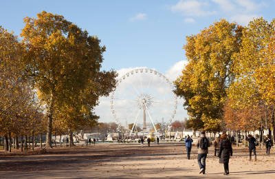 Autum in Paris