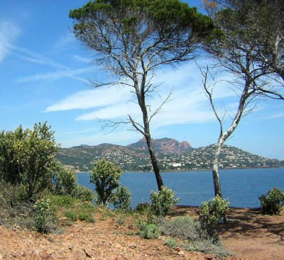 Esterel