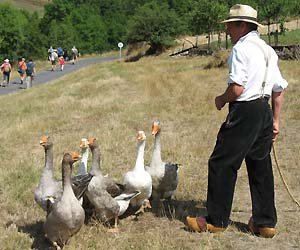 Rural traditions live on